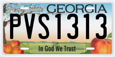 GA license plate PVS1313