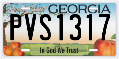 GA license plate PVS1317