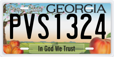 GA license plate PVS1324