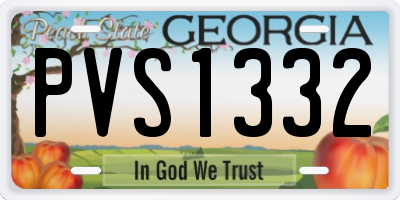 GA license plate PVS1332