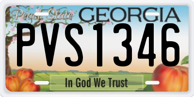 GA license plate PVS1346