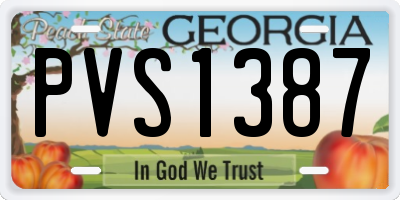 GA license plate PVS1387