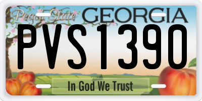GA license plate PVS1390