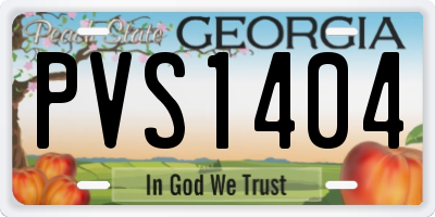 GA license plate PVS1404
