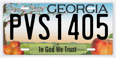 GA license plate PVS1405