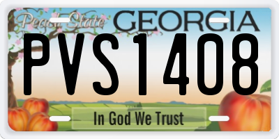 GA license plate PVS1408