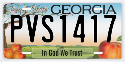 GA license plate PVS1417
