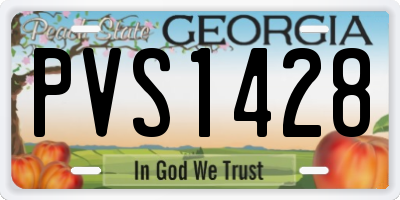 GA license plate PVS1428