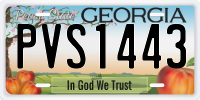 GA license plate PVS1443
