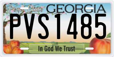 GA license plate PVS1485