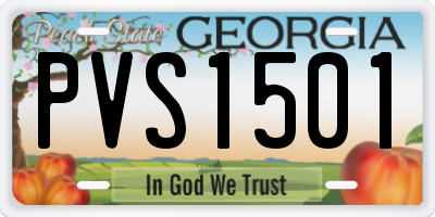 GA license plate PVS1501
