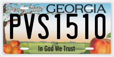 GA license plate PVS1510