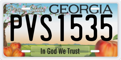 GA license plate PVS1535
