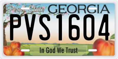 GA license plate PVS1604