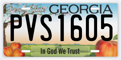 GA license plate PVS1605