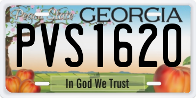 GA license plate PVS1620