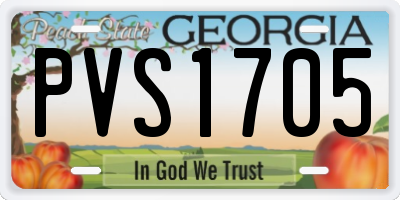 GA license plate PVS1705