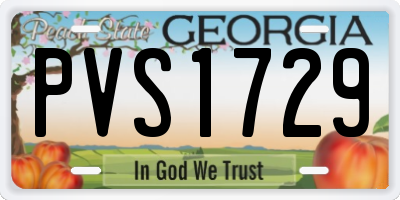 GA license plate PVS1729