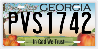GA license plate PVS1742