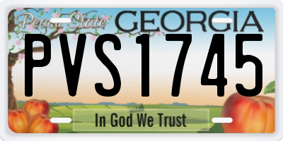 GA license plate PVS1745
