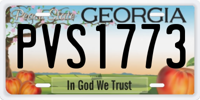 GA license plate PVS1773
