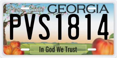 GA license plate PVS1814