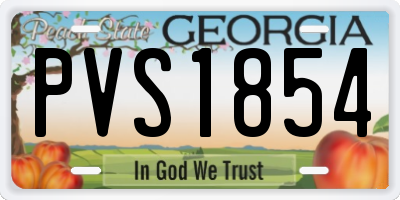 GA license plate PVS1854