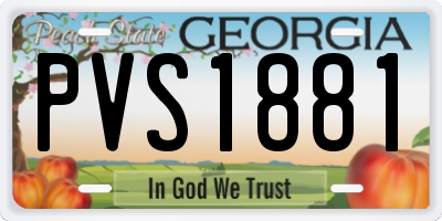 GA license plate PVS1881