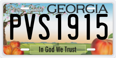 GA license plate PVS1915