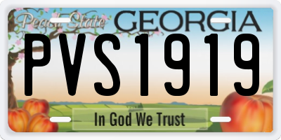 GA license plate PVS1919