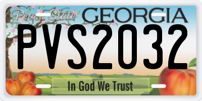GA license plate PVS2032