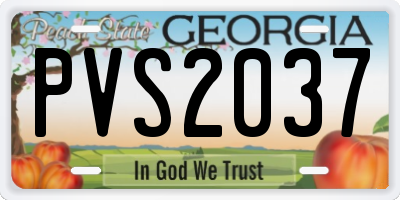 GA license plate PVS2037
