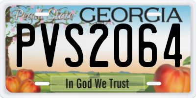 GA license plate PVS2064