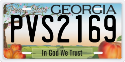 GA license plate PVS2169