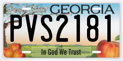 GA license plate PVS2181