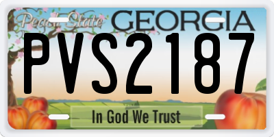 GA license plate PVS2187