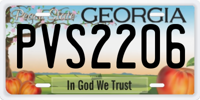 GA license plate PVS2206