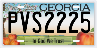 GA license plate PVS2225