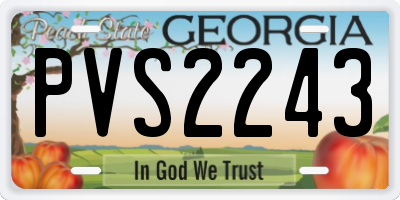 GA license plate PVS2243
