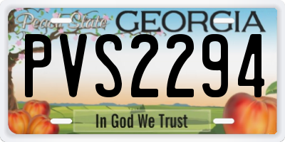 GA license plate PVS2294