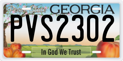 GA license plate PVS2302