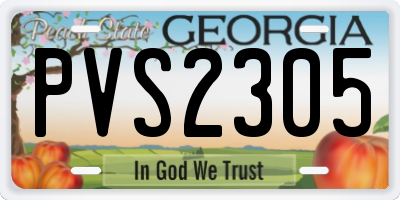 GA license plate PVS2305