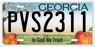 GA license plate PVS2311
