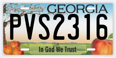 GA license plate PVS2316