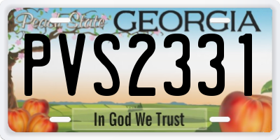GA license plate PVS2331