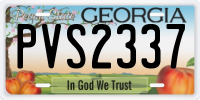 GA license plate PVS2337