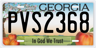 GA license plate PVS2368