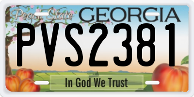 GA license plate PVS2381