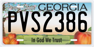 GA license plate PVS2386