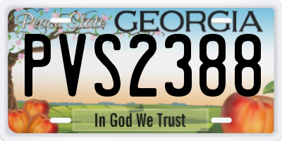 GA license plate PVS2388